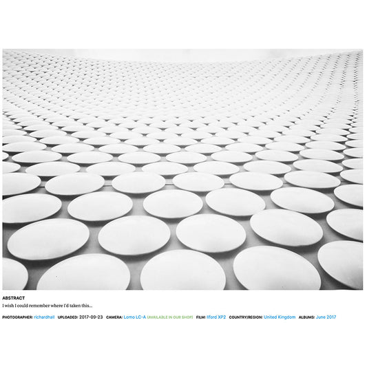 Ilford XP2 Super 400 120 - NEGATIVESCU