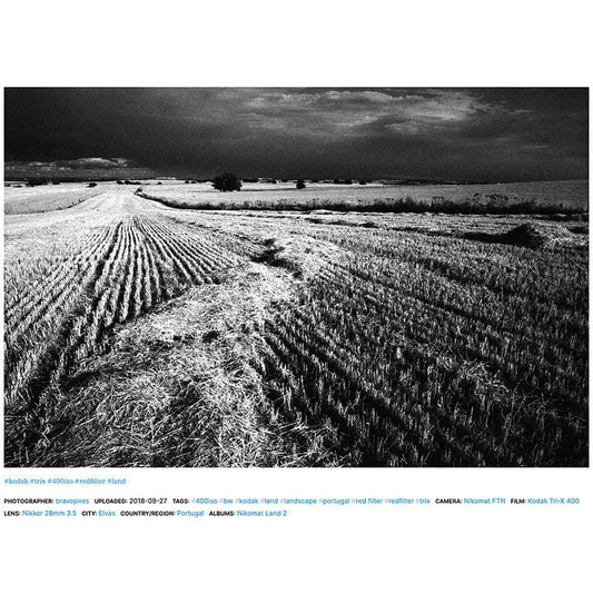 Kodak TRI-X 400 135/36 - NEGATIVESCU