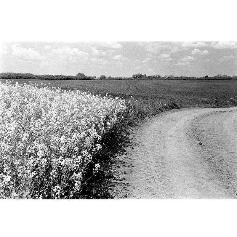 Kentmere PAN 400 120 - NEGATIVESCU