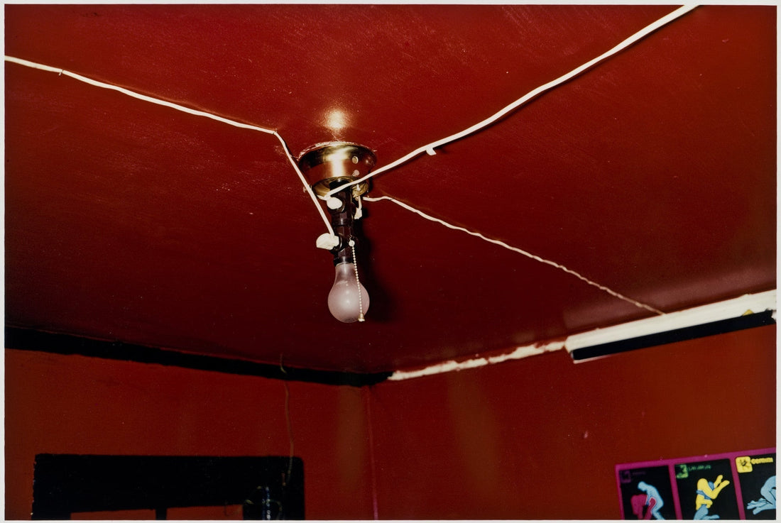 William Eggleston și fotografia color: lecții pentru fotografii pe film