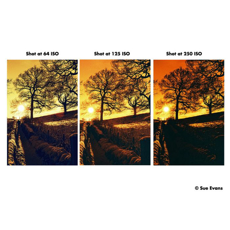 Harman RED 120 - NEGATIVESCU