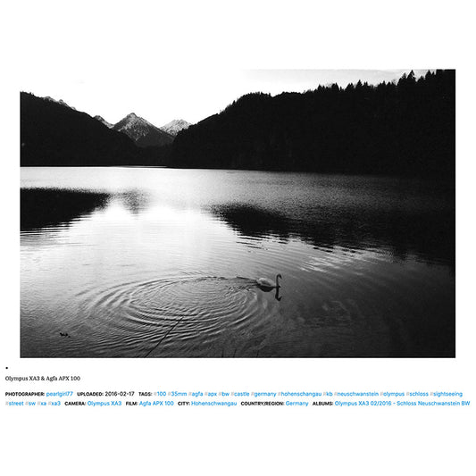 Agfa APX 100 - NEGATIVESCU