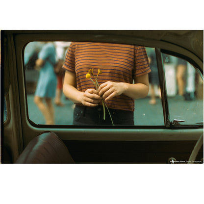 CineStill 50Daylight sample fotografie exemplu 2