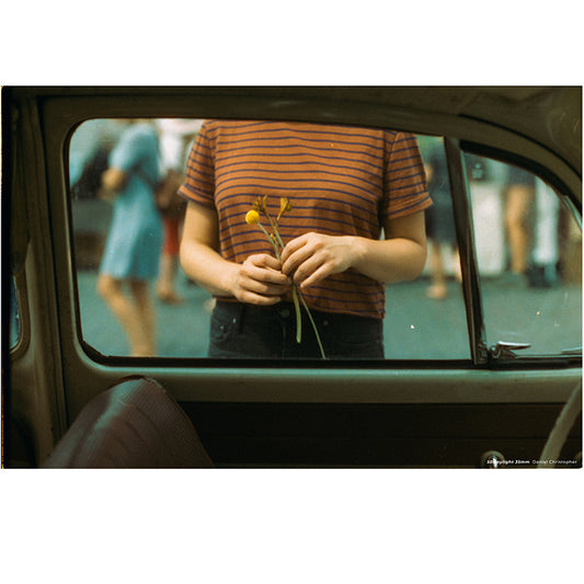 CineStill 50Daylight sample fotografie exemplu 2