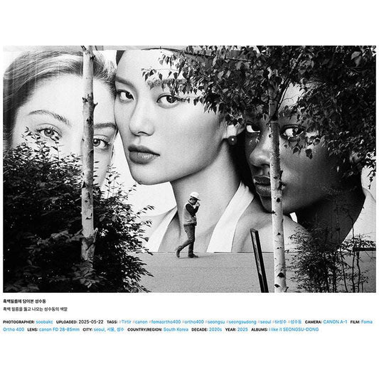 Foma Ortho 400 120 - NEGATIVESCU