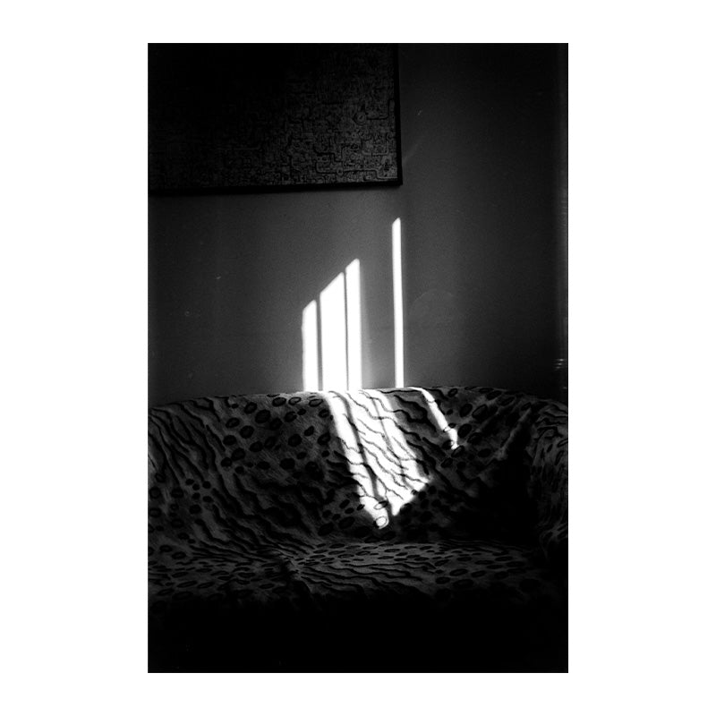 Filmul Fomapan Classic 100 pentru format 120, exemplu de imagine cu role de film alb-negru Foma pentru fotografie analogică.