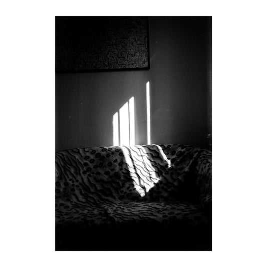 Filmul Fomapan Classic 100 pentru format 120, exemplu de imagine cu role de film alb-negru Foma pentru fotografie analogică.