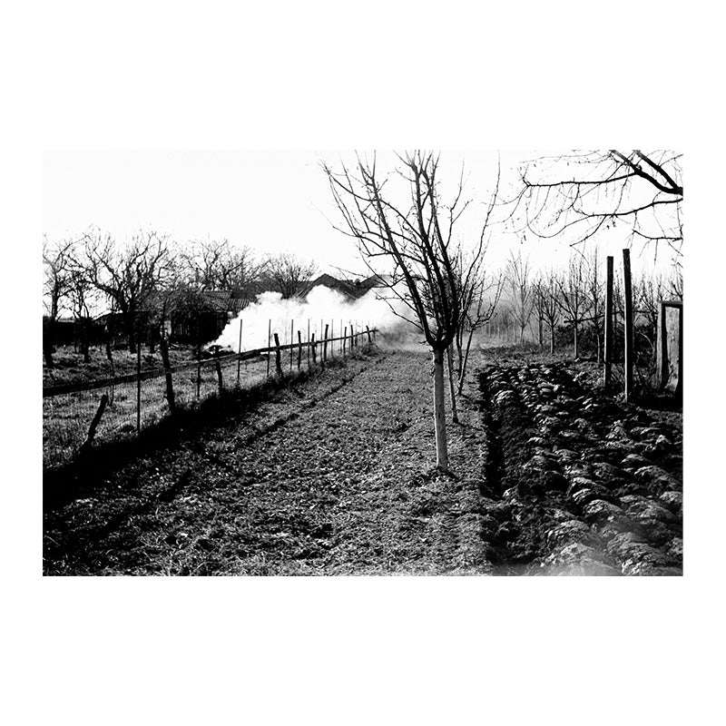 Negativ Fomapan Classic 100 120, film alb-negru Foma, cu detalii și textură vizibile pe suportul de film foto.