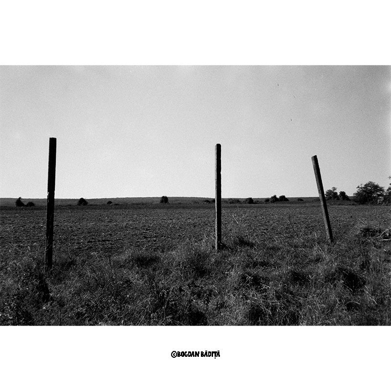 Film Fomapan 200 Creative pentru aparat foto cu film, format 120, cu aspect artistic și detalii fine.