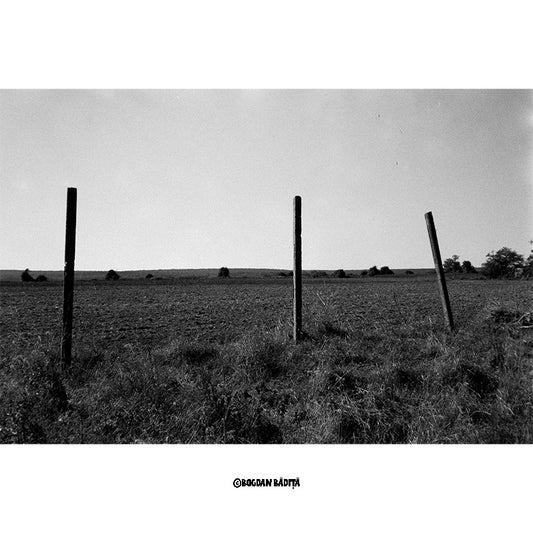 Film Fomapan 200 Creative pentru aparat foto cu film, format 120, cu aspect artistic și detalii fine.