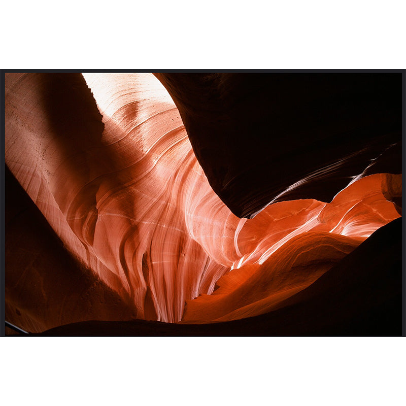 Fuji Velvia 100 35mm - NEGATIVESCU