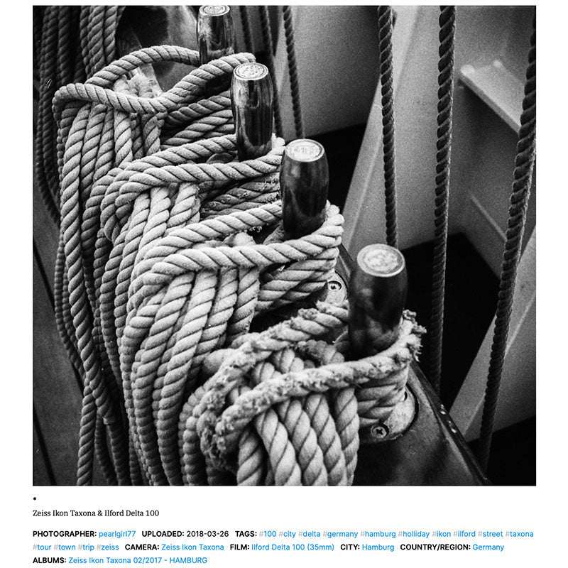 Ilford Delta 100 120 - NEGATIVESCU