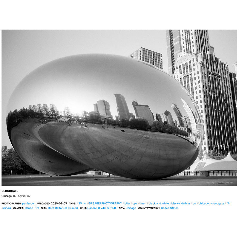 Ilford Delta 100 120 - NEGATIVESCU