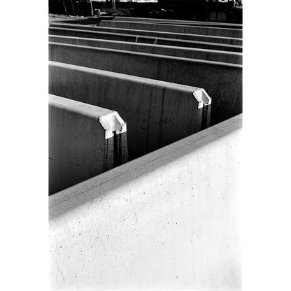 Ilford FP4 PLUS 120 - NEGATIVESCU