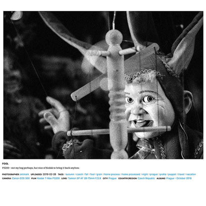 Imagine cu film Kodak T-MAX P3200, arătând o imagine în nuanțe de gri și negru, evidențiind textura și detaliile fotografiei.