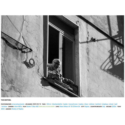 Filmică înfățișare cu filmul Kodak T-MAX 400 35mm, imagine detaliată cu textură și tonuri contrastante.