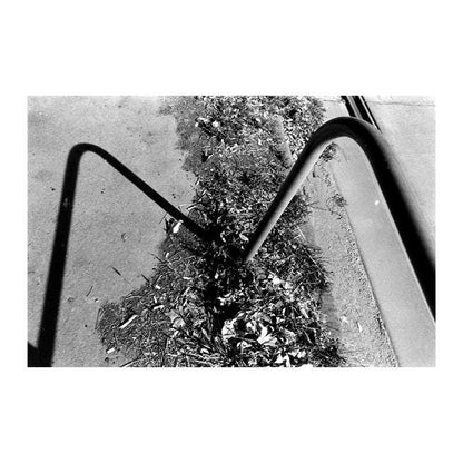 Fomapan 400 Action 35mm - NEGATIVESCU