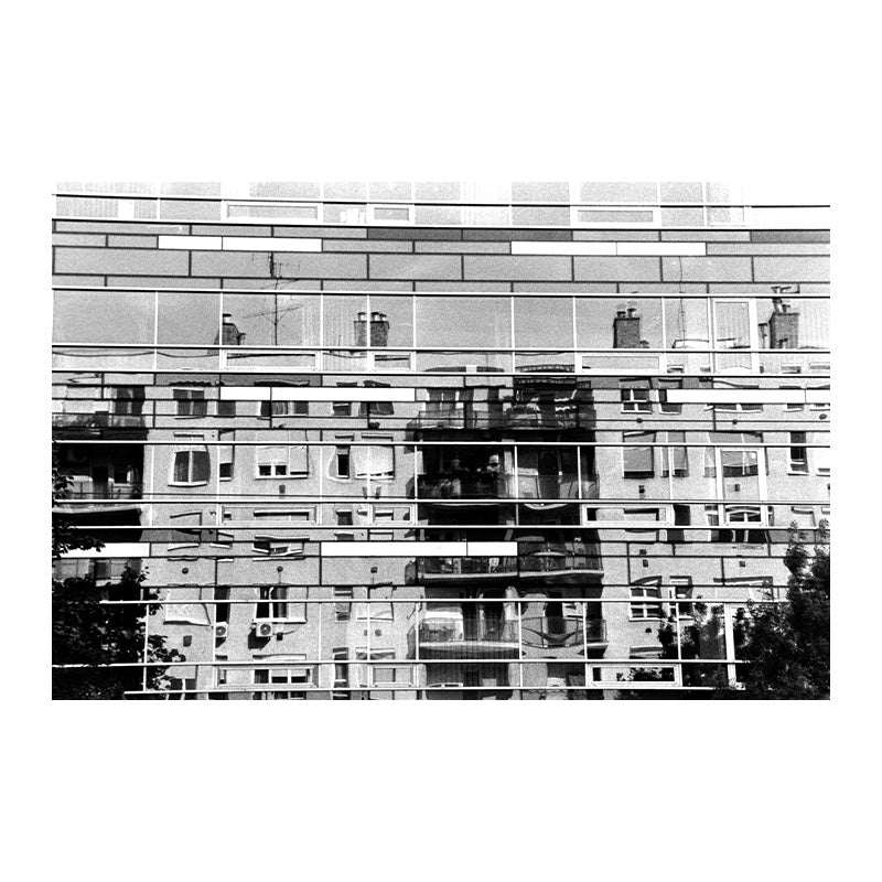 Fomapan 400 Action 35mm - NEGATIVESCU