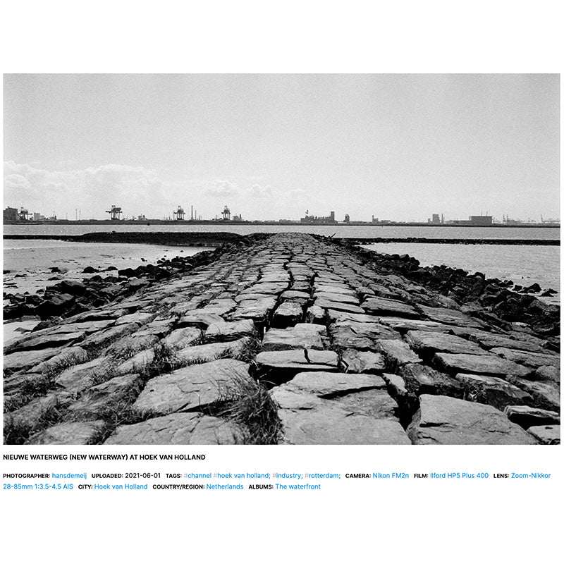 Ilford HP5 PLUS 120 - NEGATIVESCU