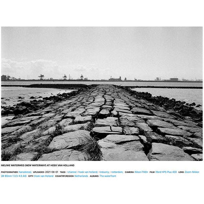 Ilford HP5 PLUS 120 - NEGATIVESCU