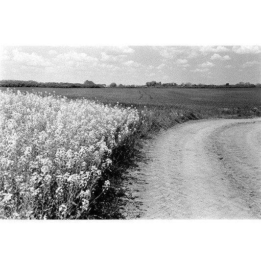 Kentmere PAN 400 35mm - NEGATIVESCU