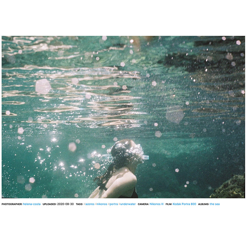 Kodak Portra 800 120 - NEGATIVESCU