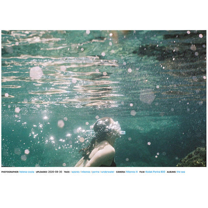 Kodak Portra 800 120 - NEGATIVESCU
