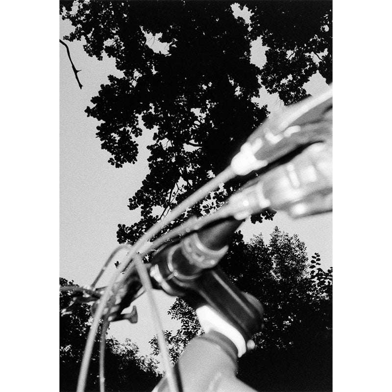 Pentax 17 - NEGATIVESCU