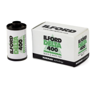 Ilford Delta 400 135/36