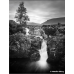 Ilford Ortho Plus 80 120