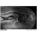 Ilford Pan F Plus 50 135/36