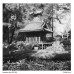 Kentmere PAN 200 135/36