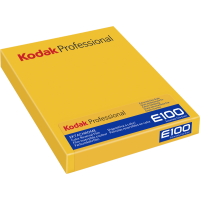 Kodak Ektachrome Plan Film 8x10 (10 File)