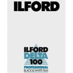 Ilford 100 Delta Plan Film 4x5 (25 file) 
