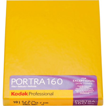 Kodak Portra 160 Plan Film 8x10in (10 file)