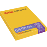 Kodak Portra 400 Plan Film 4x5in (10 file)