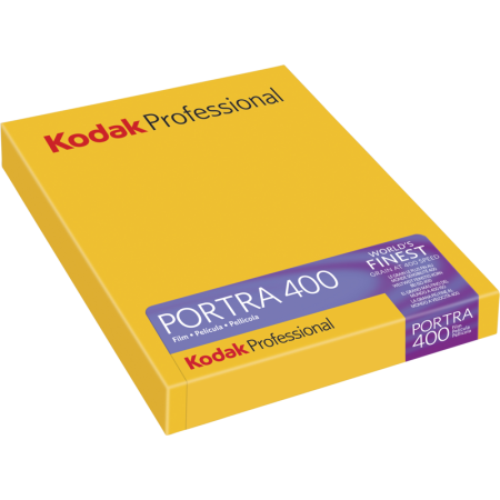 Kodak Portra 400 Plan Film 8x10in (10 file)